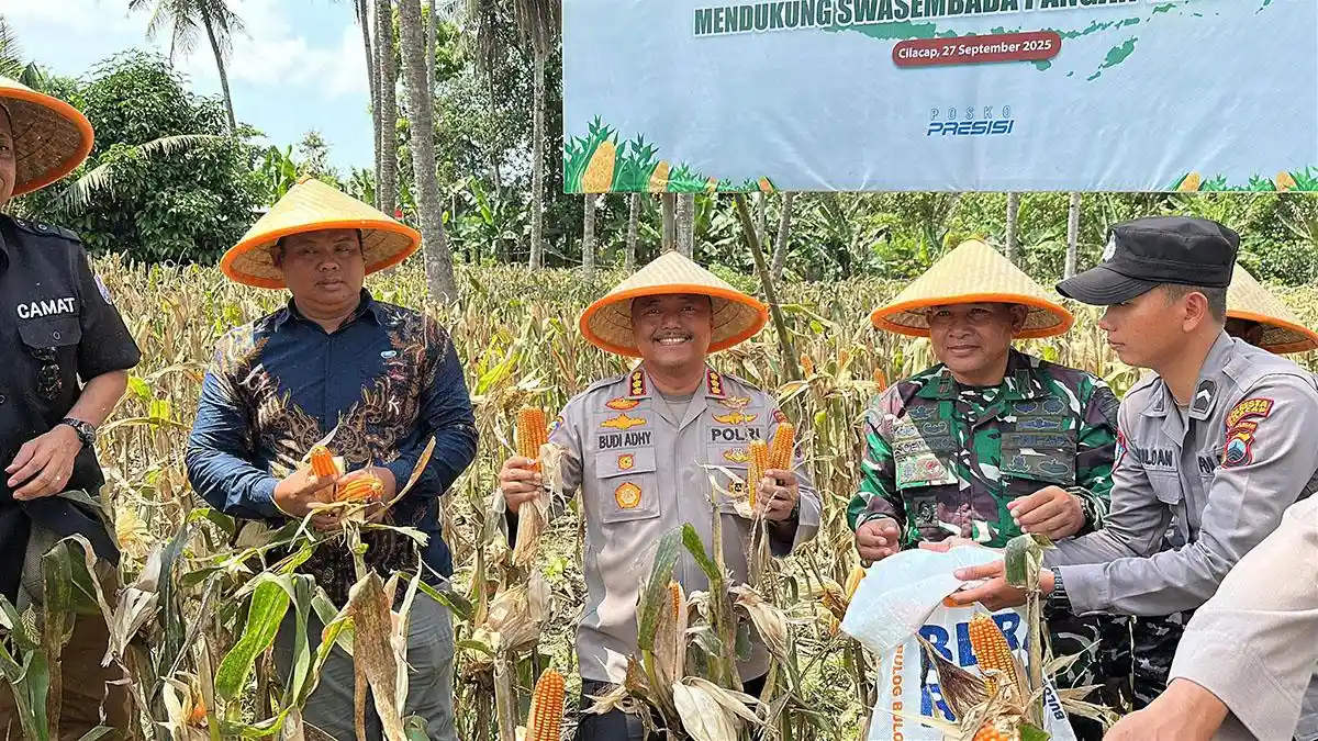Rasakan Kebanggaan Petani Cilacap dengan Sriping Pisang Asli
